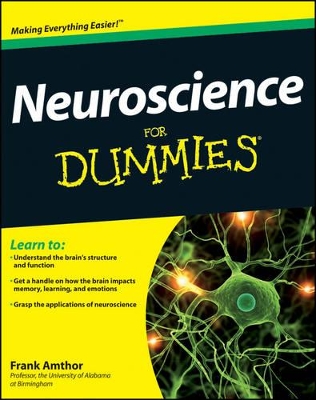 Neuroscience For Dummies by Frank Amthor