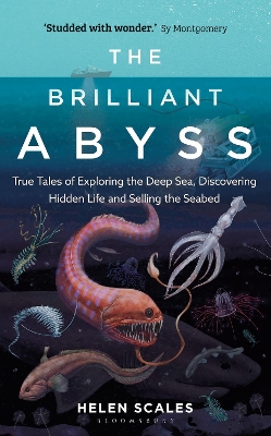 The Brilliant Abyss: True Tales of Exploring the Deep Sea, Discovering Hidden Life and Selling the Seabed book