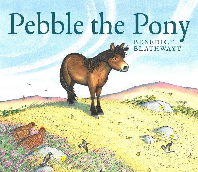 Pebble the Pony book
