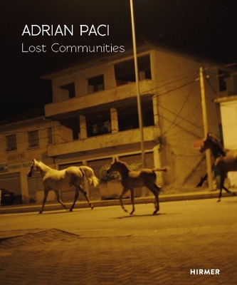 Adrian Paci: Lost Communities book