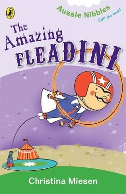 Amazing Fleadini book
