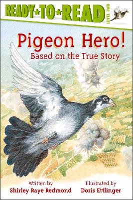 Pigeon Hero! book