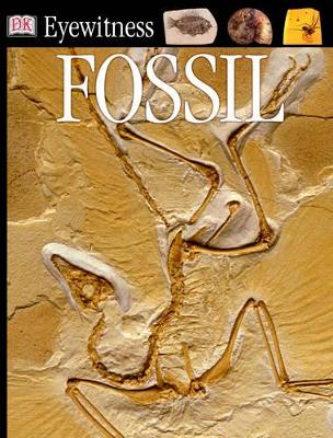 Fossil by DK