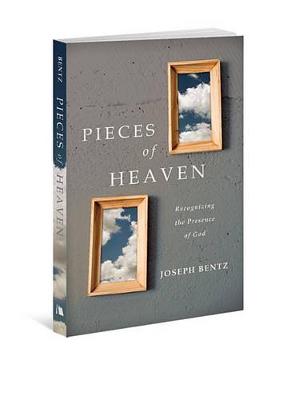 Pieces of Heaven book