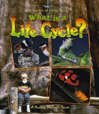 What is a Life Cycle? book