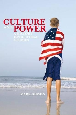 Culture and Power book