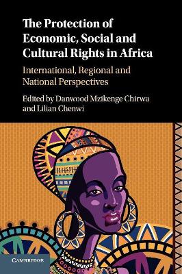 Protection of Economic, Social and Cultural Rights in Africa book