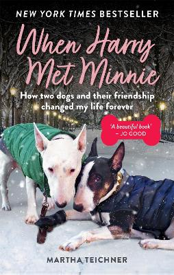 When Harry Met Minnie: An unexpected friendship and the gift of love beyond loss by Martha Teichner