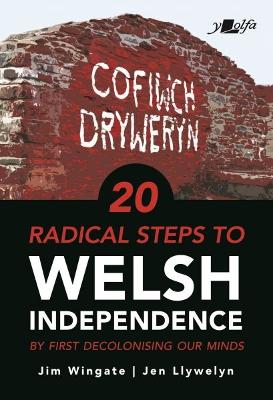 20 Radical Steps to Welsh Independence: ...by first decolonising our minds book