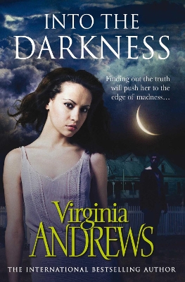 Into the Darkness book