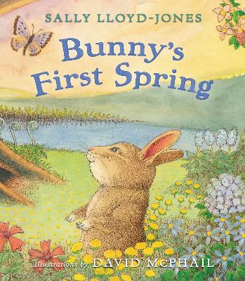 Bunny's First Spring book