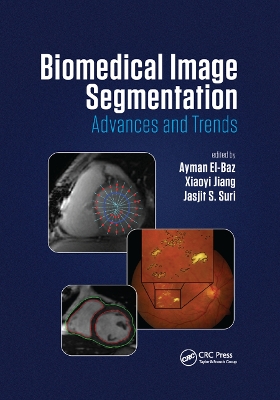 Biomedical Image Segmentation: Advances and Trends book