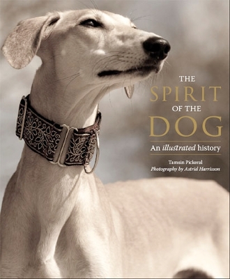 The Spirit of the Dog book