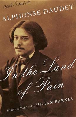 In the Land of Pain book