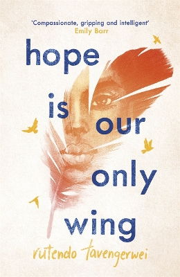 Hope is our Only Wing book