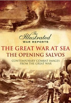 Great War at Sea - The Opening Salvos book