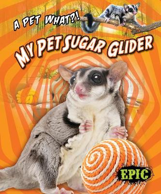 My Pet Sugar Glider book