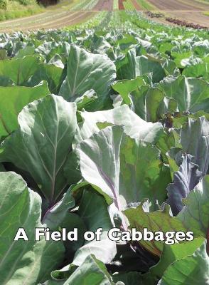 A Field of Cabbages book