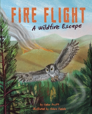 Fire Flight: A Wildfire Escape book