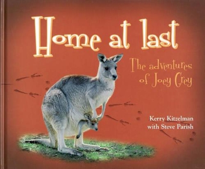 Home at Last: The Adventures of Joey Grey book