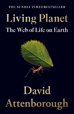 Living Planet: The Web of Life on Earth book