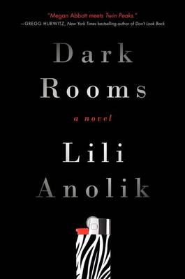 Dark Rooms book