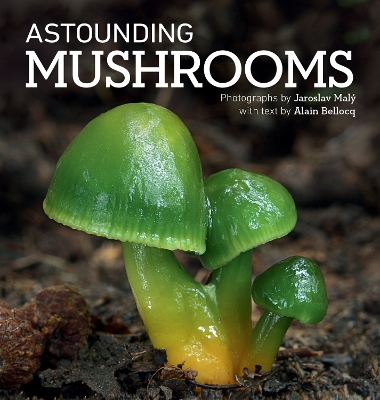 Astounding Mushrooms book