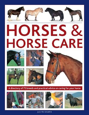 Horses & Horse Care: A directory of 75 breeds and practical advice on caring for your horse book