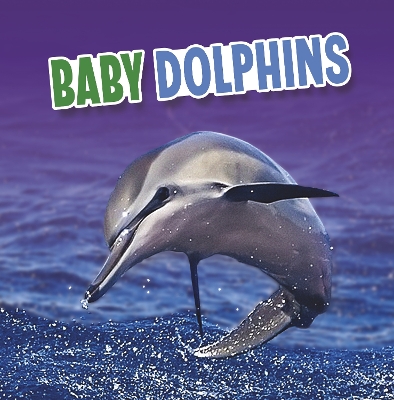 Baby Dolphins by Martha E H Rustad