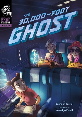The 30,000 Foot Ghost book