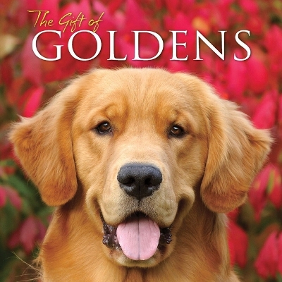 Gift of Goldens book