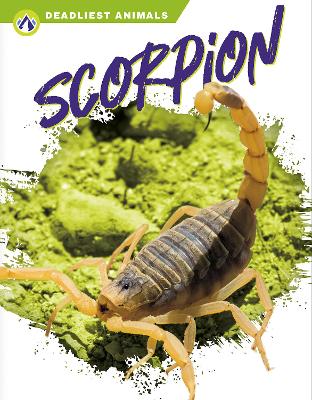 Scorpion by Rachel Hamby