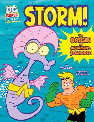 Storm! An Origin Story book