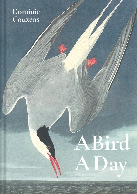 A Bird A Day book