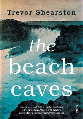 The Beach Caves book
