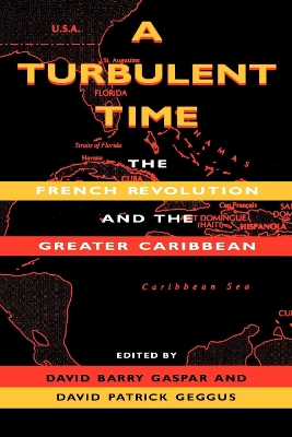 Turbulent Time book