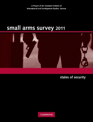 Small Arms Survey 2011 book