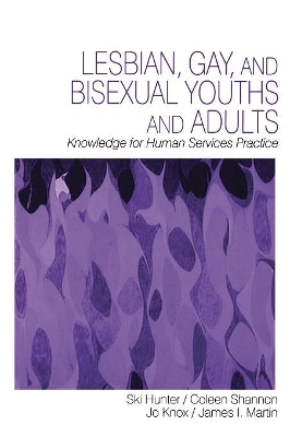 Lesbian, Gay, and Bisexual Youths and Adults book