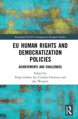 EU Human Rights and Democratization Policies by Felipe Gómez Isa