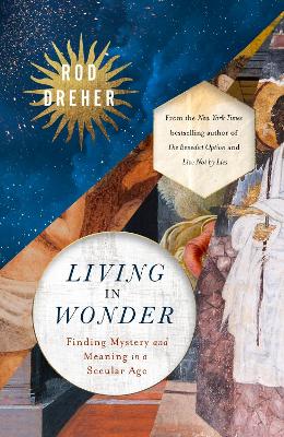 Living in Wonder: Finding Mystery and Meaning in a Secular Age book