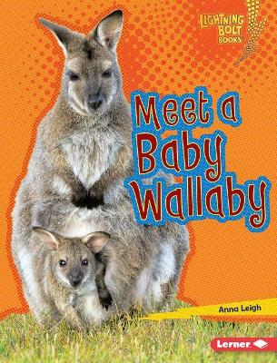 Meet a Baby Wallaby book
