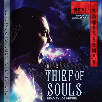 Thief of Souls book