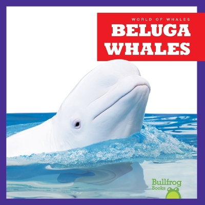 Beluga Whales book