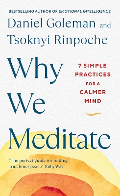 Why We Meditate: 7 Simple Practices for a Calmer Mind book