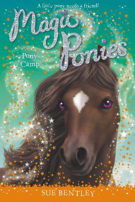 Pony Camp #8 book