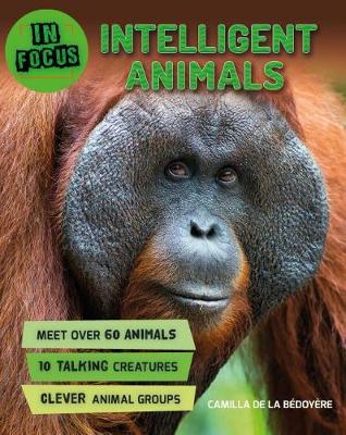 In Focus: Intelligent Animals by Camilla De La Bedoyere