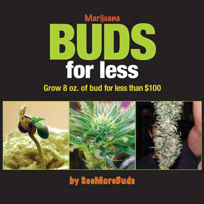 Marijuana Buds For Less book