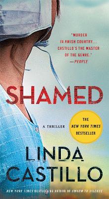 Shamed: A Kate Burkholder Novel book