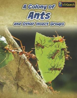 A Colony of Ants by Anna Claybourne