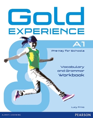 Gold Experience A1 Workbook Without Key book